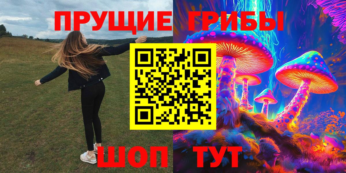 Псилоцибиновые грибы GOLDEN TEACHER Ульяновск